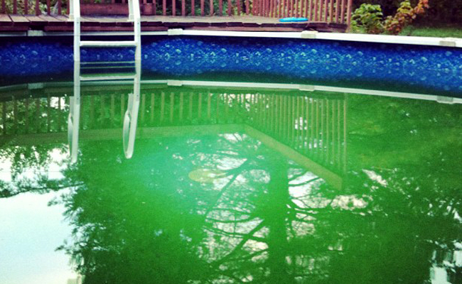 traitement choc pour eau de piscine verte