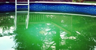 L'eau de la piscine a tourné au vert, comment la rattraper ?