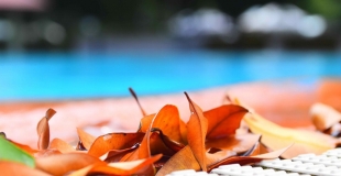 Hivernage d’une piscine : conseils hivernage passif et hivernage actif