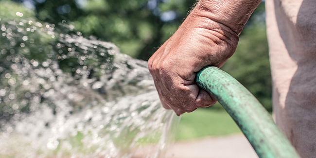 Peut-on utiliser l'eau de sa piscine pour arroser ses plantes et son jardin ?