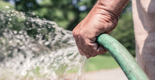 Peut-on utiliser l'eau de sa piscine pour arroser ses plantes et son jardin ?